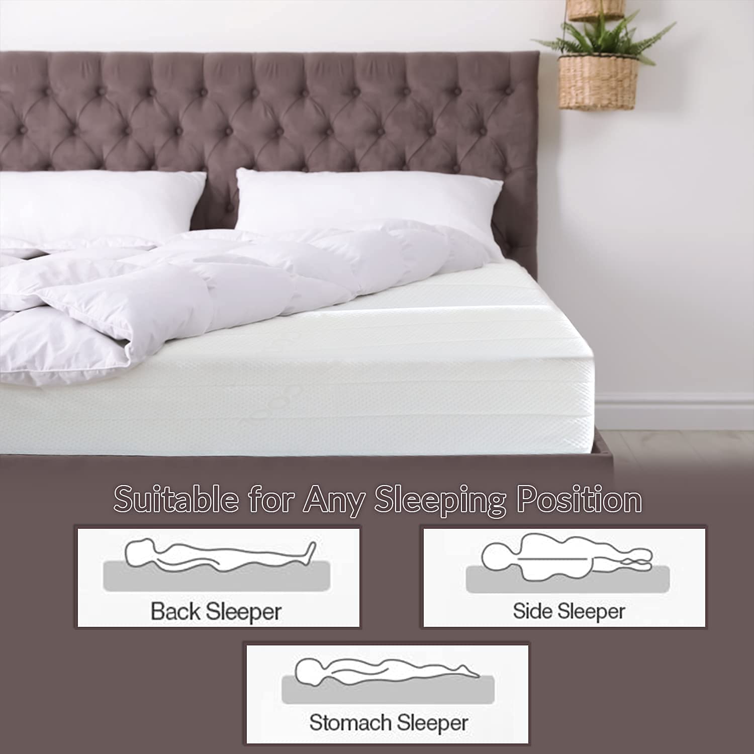 Value Memory Foam Mattress
